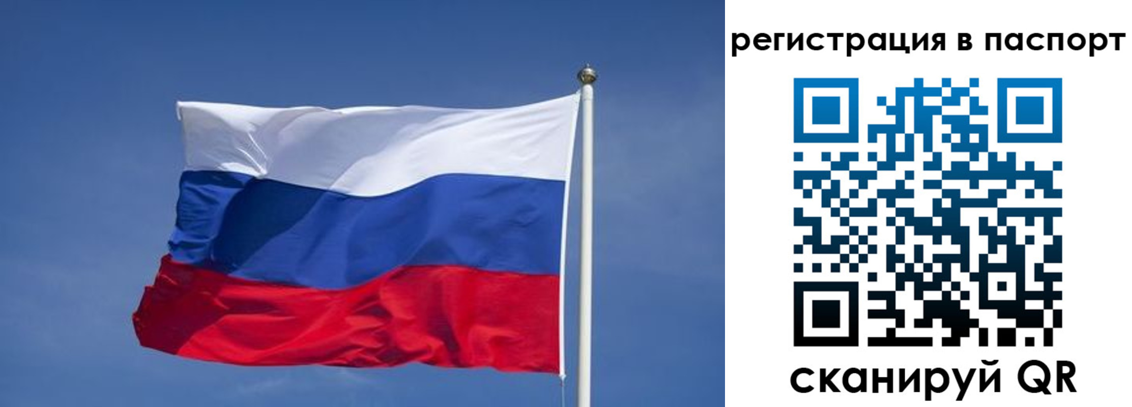 прописка в квартире в Камышлове